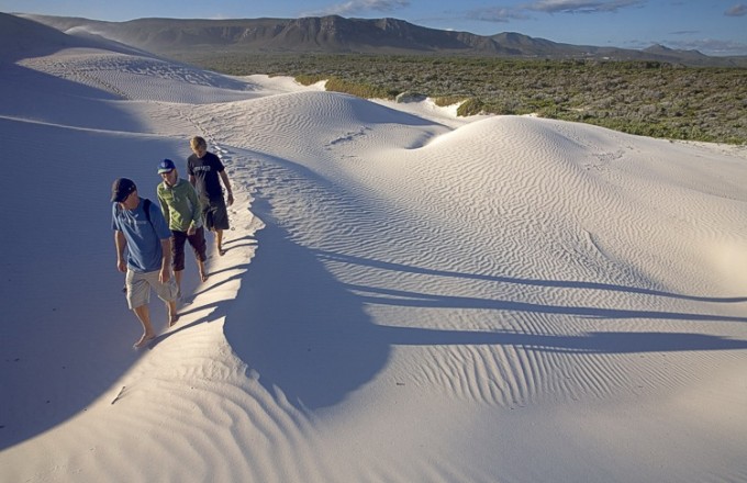 Dünenwanderung im Naturreservat Grootbos news bild