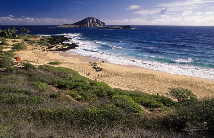 Strand auf Hawaii news bild